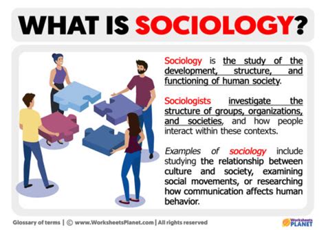 What is Sociology in Physical Education and How Does It Shape Our Understanding of Athletic Communities?